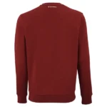 Tecnifibre Sweatshirt Team - Image 2