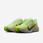 Nike Pegasus Plus